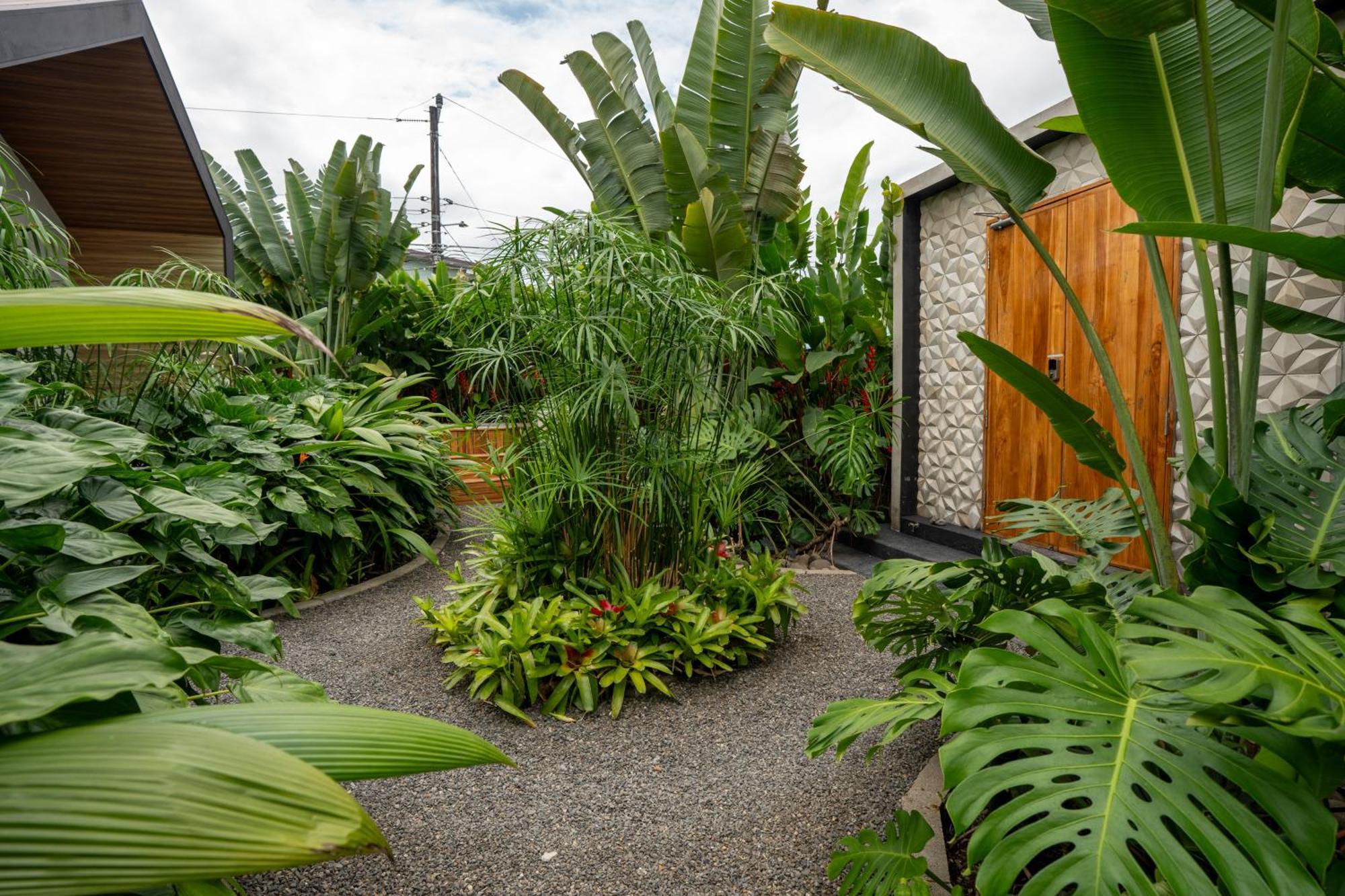 Suwa Villa Arenal La Fortuna Kültér fotó