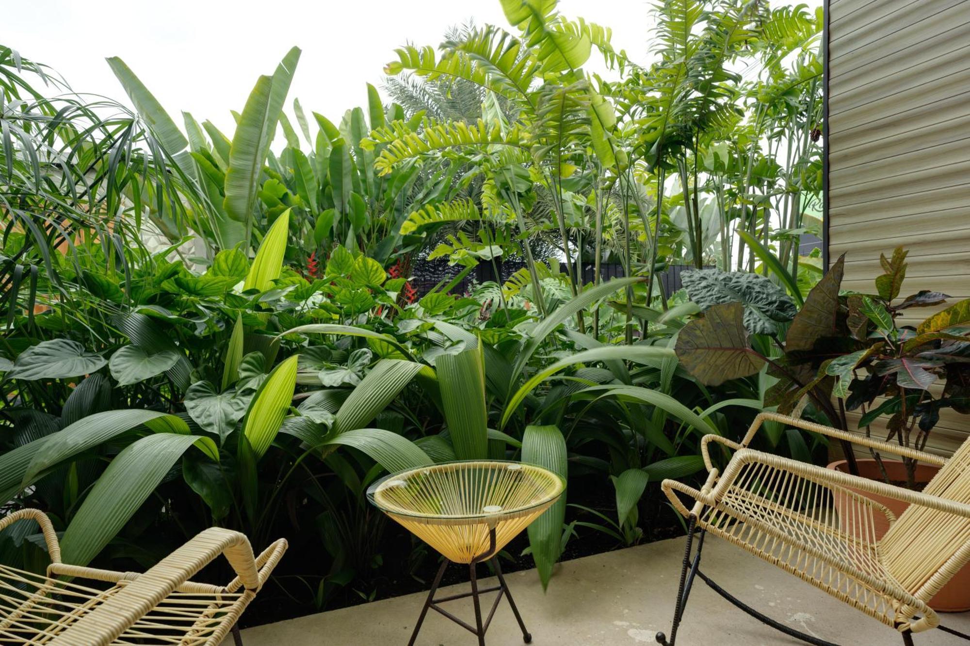 Suwa Villa Arenal La Fortuna Kültér fotó